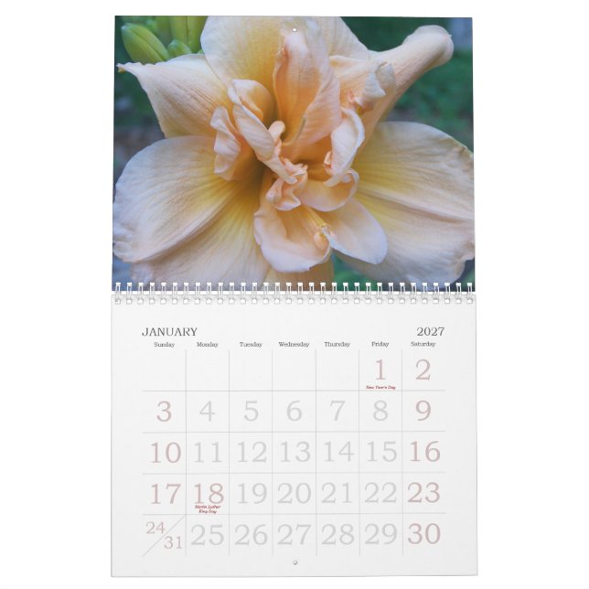 Calendrier Mural 2010 Daylilies (Jan 2027)