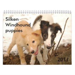 Calendrier Mural 2011 chiots de soie de Windhound
