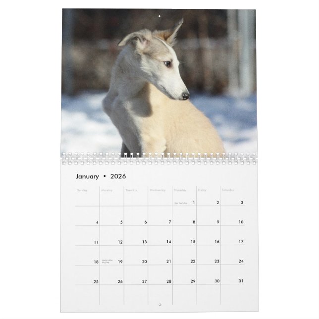 Calendrier Mural 2011 chiots de soie de Windhound (Jan 2026)