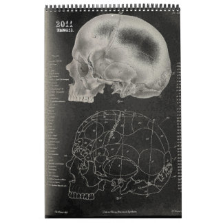 Calendrier Mural 2011 SKULL/SKELETON/ANATOMY - Tang13.