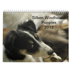 Calendrier Mural 2012 chiots de soie 2 de Windhounds