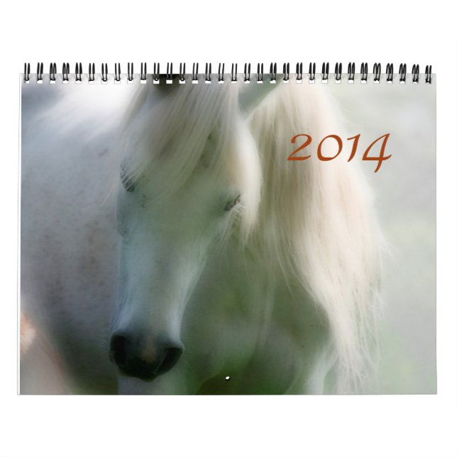 Calendrier Mural 2014 Arabes - joie de la vie (Protection)