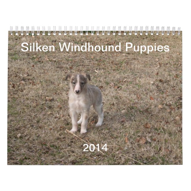 Calendrier Mural 2014 chiots de soie de Windhound 1-2 (Protection)