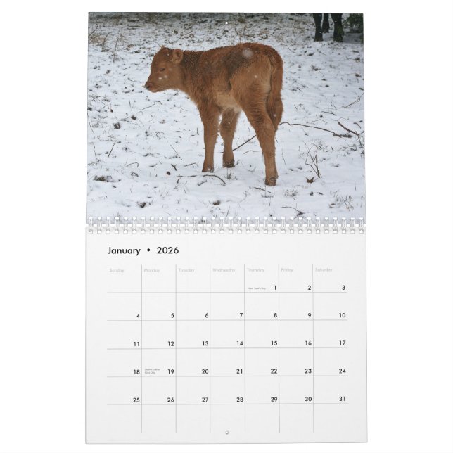 Calendrier Mural 2015 veaux (Jan 2026)