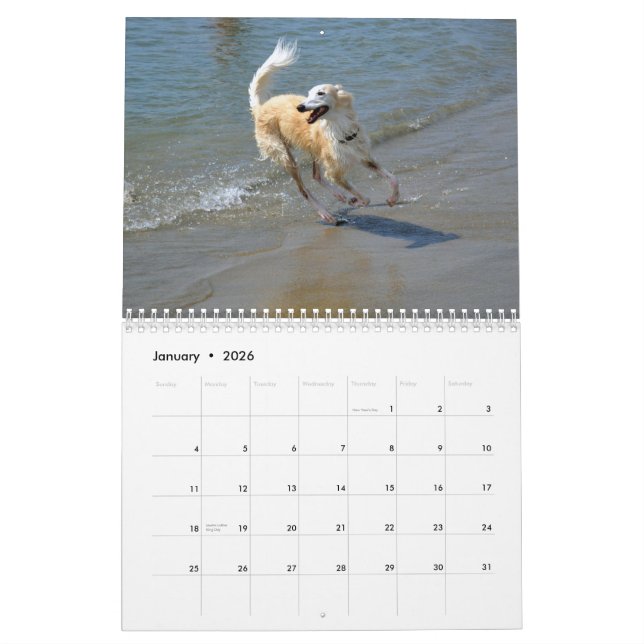 Calendrier Mural 2015 Windhounds de soie dans l'action (Jan 2026)