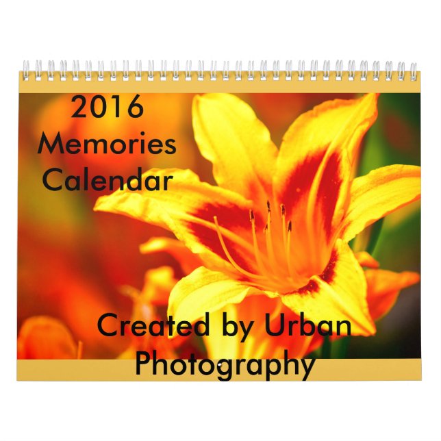 Calendrier Mural 2016 souvenirs (Protection)