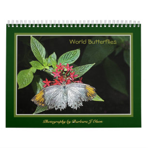 * calendrier mural 2019 de papillons du monde