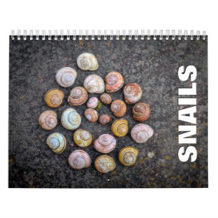 Calendrier mural 2022 des escargots