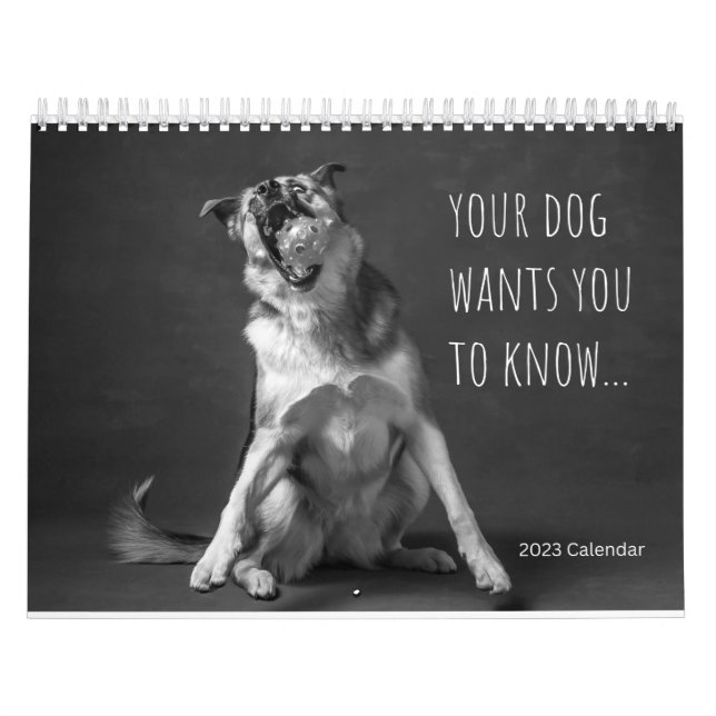 Calendrier mural 2023 - Humour de chien (Protection)