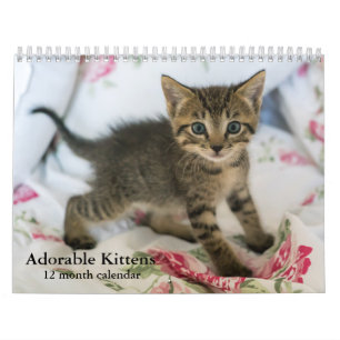 Calendrier Mural 2027 Adorables Chatons Douze Mois Chat