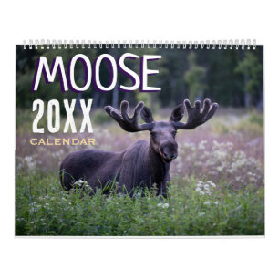 Calendrier mural 2027 Faune Animaux Orignal