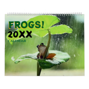 Calendrier mural 2027 Grenouilles mignonnes dans l