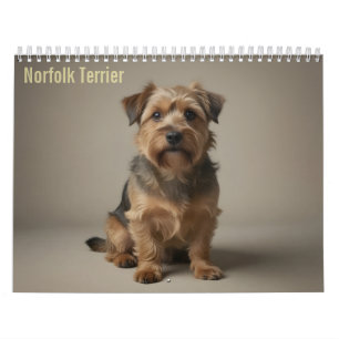 Calendrier mural 2027 Norfolk Terrier