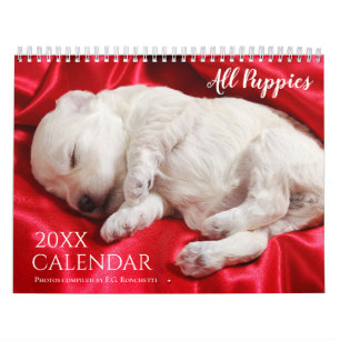 Calendrier mural 2027 pour chiots - Tous les chiot