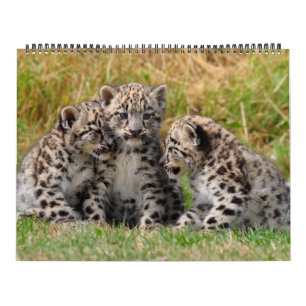 Calendrier Mural Amoureux des animaux 2012