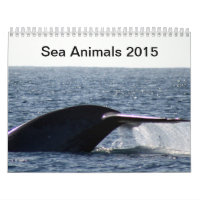 Animaux de mer 2015