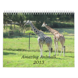 Calendrier Mural Animaux Incroyables 2013