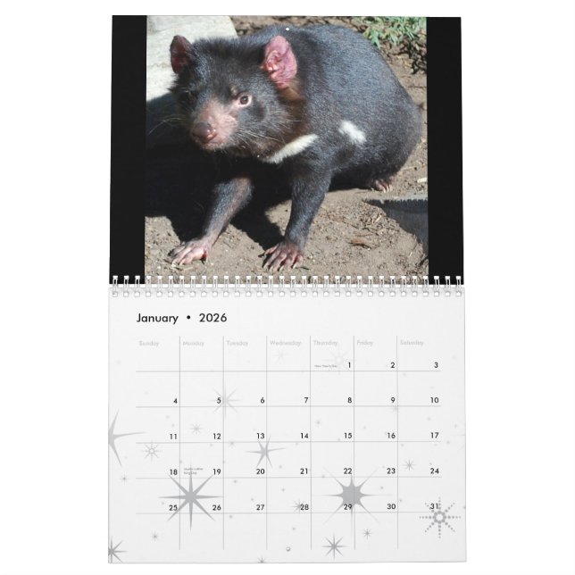Calendrier Mural Animaux indigènes australiens (Jan 2026)