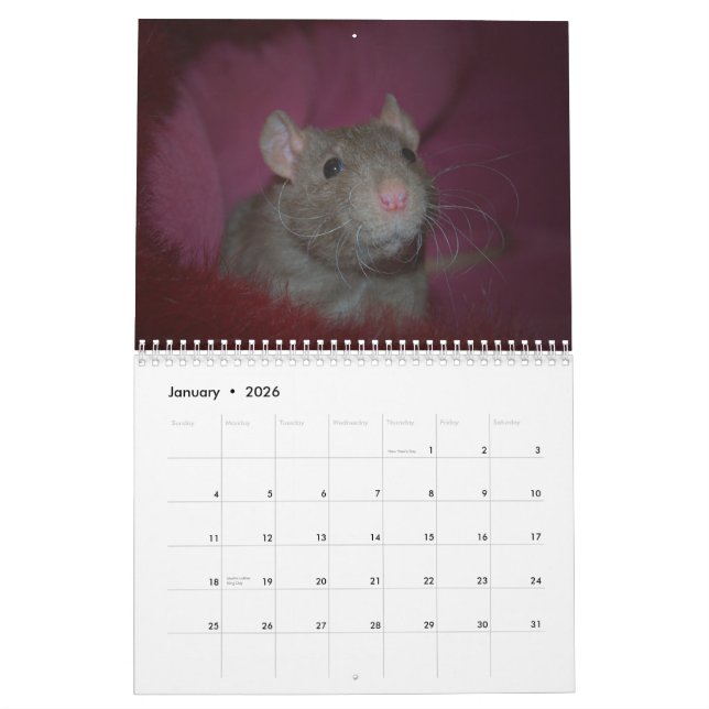 Calendrier Mural Année du rat Calander (Jan 2026)