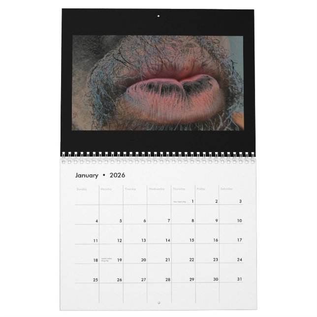 Calendrier Mural Année pendant l'année (Jan 2026)