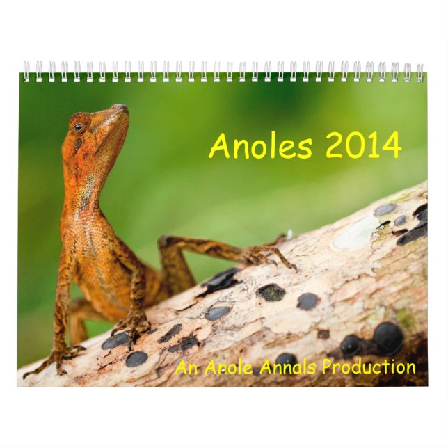 Calendrier Mural Anoles 2014 (Protection)