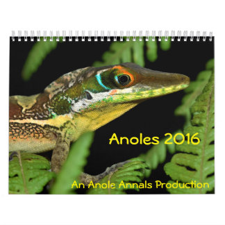 Calendrier Mural Anoles 2016 - Une production d'annales d'Anole