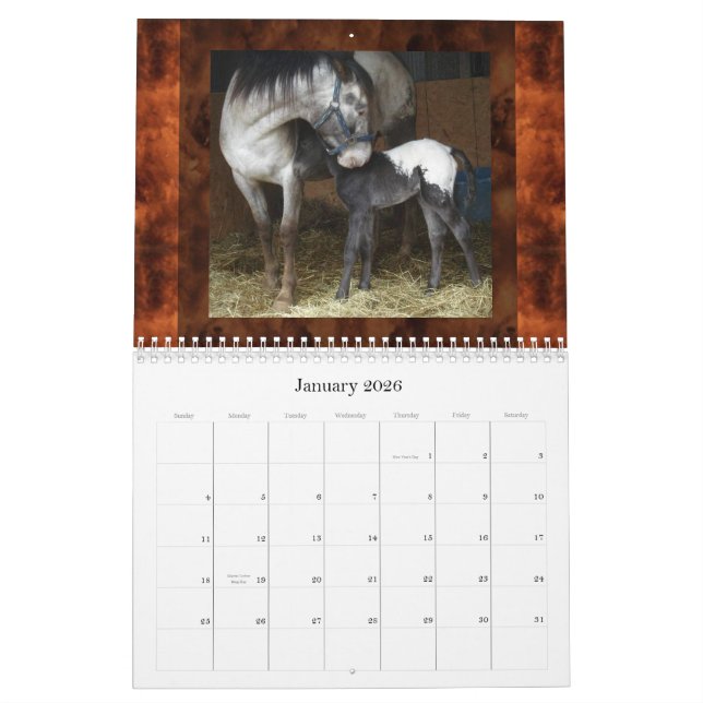 CALENDRIER MURAL APPALOOSAS DE COLLINE DE COUCHER DU SOLEIL (Jan 2026)