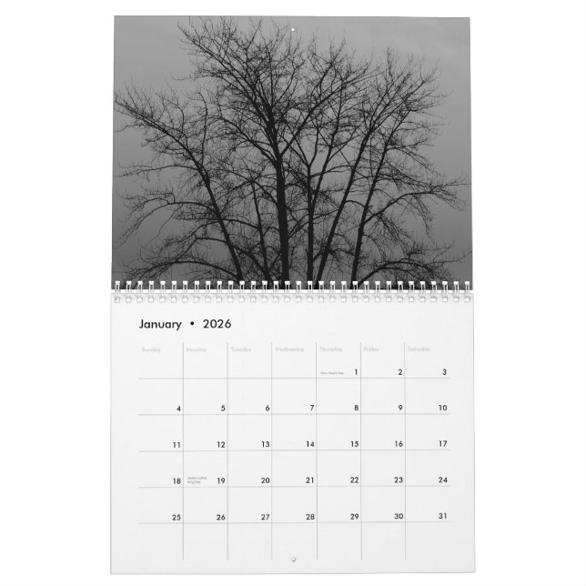 Calendrier Mural Arbres du nord-ouest Pacifique (Jan 2026)