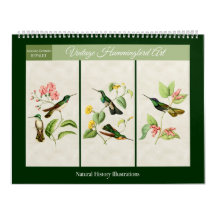 Art vintage Hummingbird 2026
