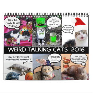 CALENDRIER MURAL BANDE-BANDE AMUSANTE DE CATS DE DISCUSSION WEIRD 2