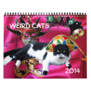 CALENDRIER MURAL BANDE-BANDE AMUSANTE DE CATS DE DISCUSSION WEIRD 2