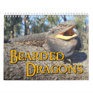 Calendrier mural barbu de dragons