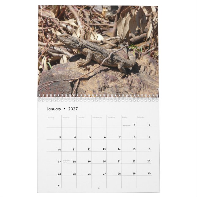 Calendrier mural barbu de dragons (Jan 2027)