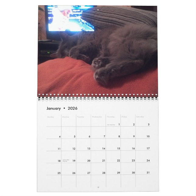 CALENDRIER MURAL BARTHOLOMEW 2012 (Jan 2026)