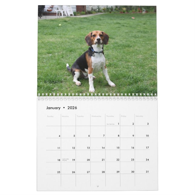Calendrier Mural Beagle Calander (Jan 2026)