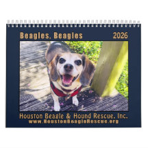 Calendrier mural Beagles Beagles 2026