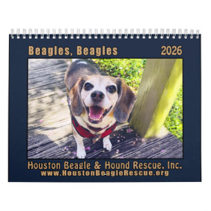 Calendrier mural Beagles Beagles 2026