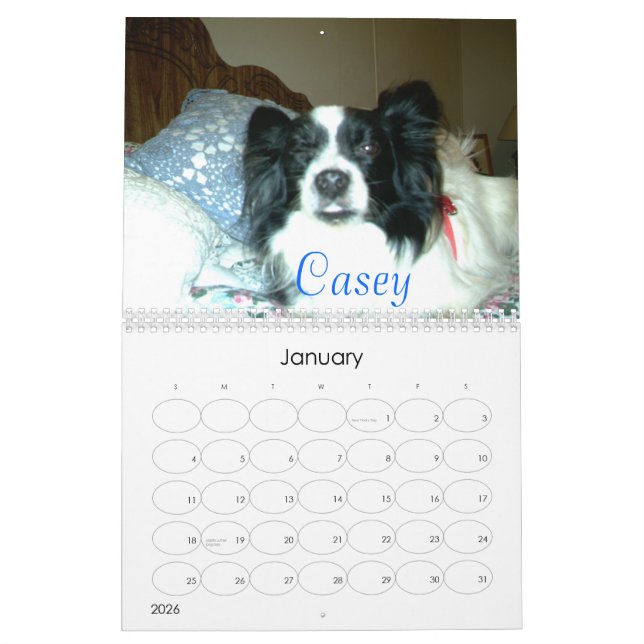 Calendrier Mural Beau Papillons, 2007 (Jan 2026)