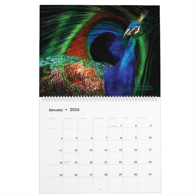 Calendrier Mural Beauté dans la nature - Collection d'oiseaux Calen (Jan 2026)