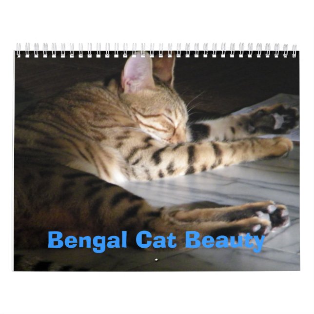 Calendrier Mural Beauté de chat du Bengale (Protection)