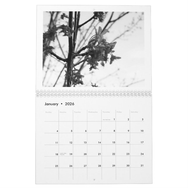 Calendrier Mural Beauté de nature… l'édition noire et blanche (Jan 2026)