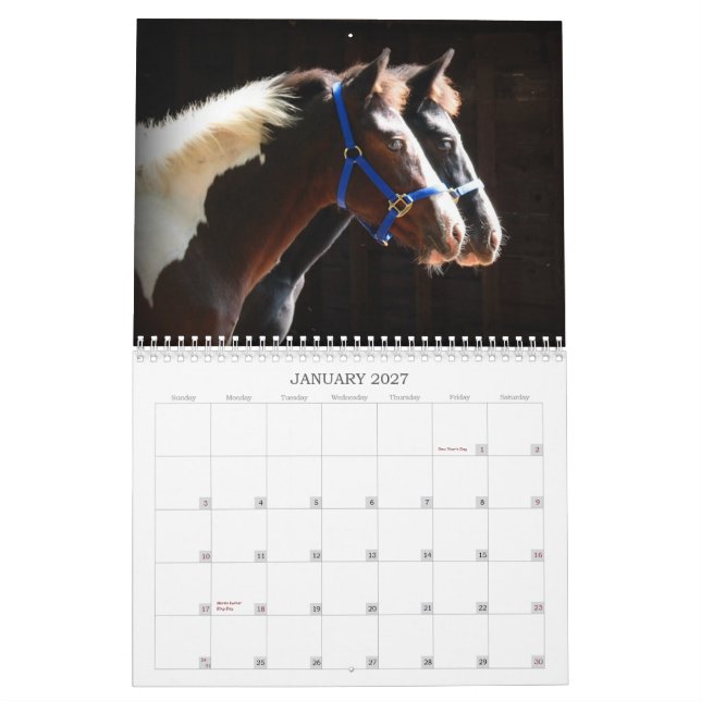 Calendrier Mural Beaux animaux de ferme (Jan 2027)