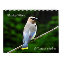 Beaux oiseaux, de Colombie-Britannique