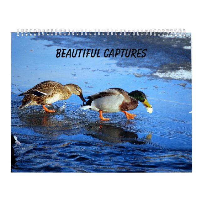 Calendrier Mural Belles Captures (Protection)