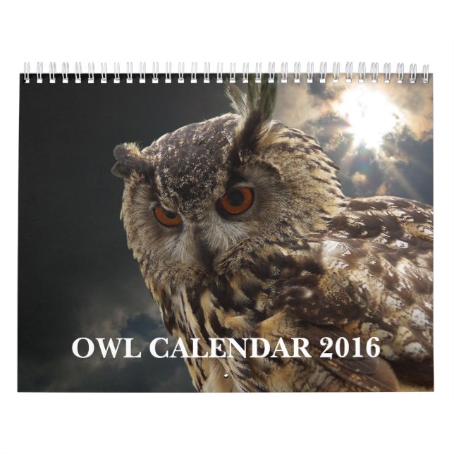Calendrier Mural Belles images et images 2016 de hibou (Protection)
