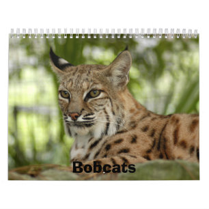 Calendrier Mural BobcatBCR032, chats sauvages