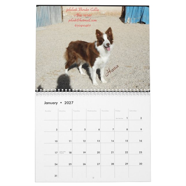 Calendrier Mural Calendario (Jan 2027)