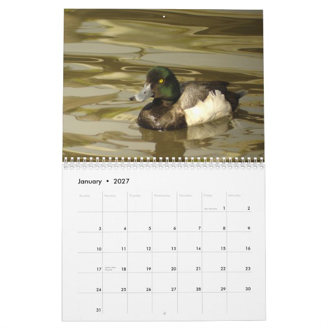 Calendrier Mural Canards de l'Amérique du Nord 2010 (Jan 2027)