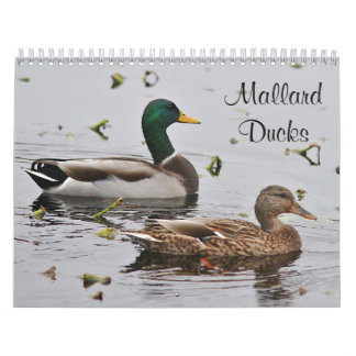 Calendrier Mural Canards de Mallard