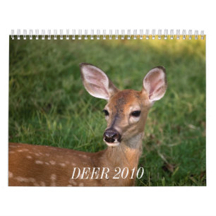 CALENDRIER MURAL CERFS COMMUNS 2010